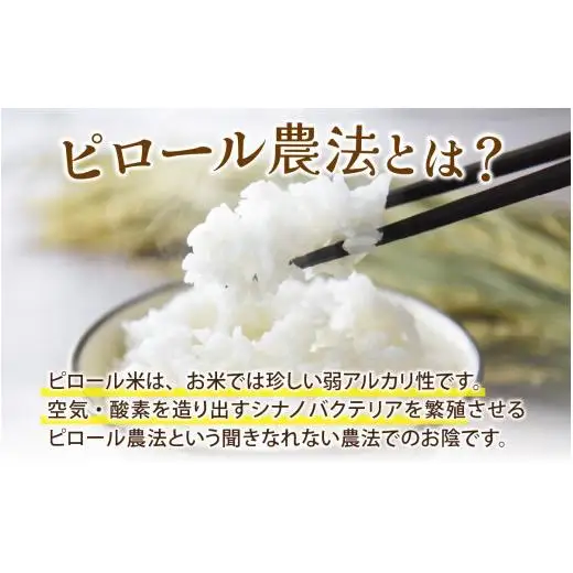 【12ヶ月定期便】富山県滑川産 弱アルカリ性米「ピロール農法米 コシヒカリ」（精米5kg）×12回 計60kg 与文のお米 産地直送 こしひかり おにぎり お米 白米 国産 ご飯 ごはん 滑川市 ピロール アグリめぐみ 頒布会 O-050003  アトピー 米
