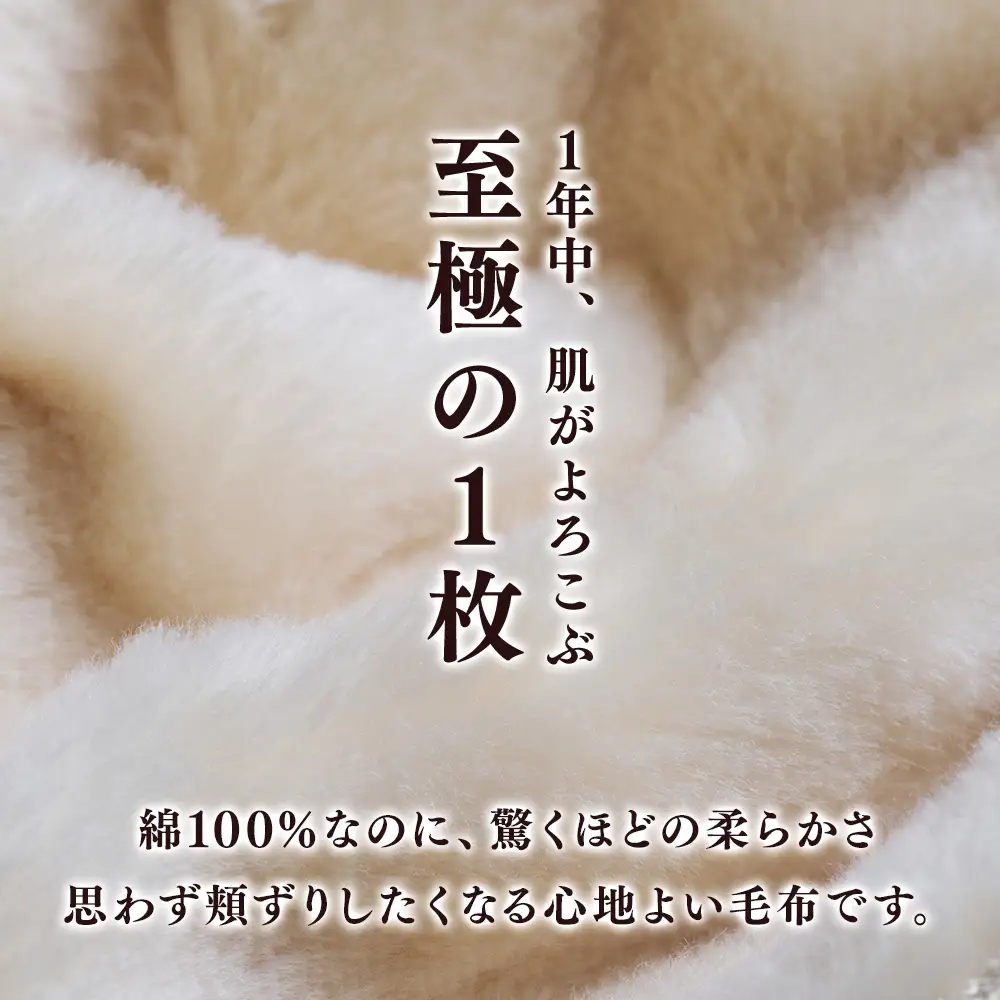 泉大津製 無着色オーガニックコットンマイヤー毛布(毛羽部分)ひざかけ｜肌さわり 吸水性 日本製 綿100％ 日本一の毛布の町 ワンランク上 快眠 寝具 品質基準 