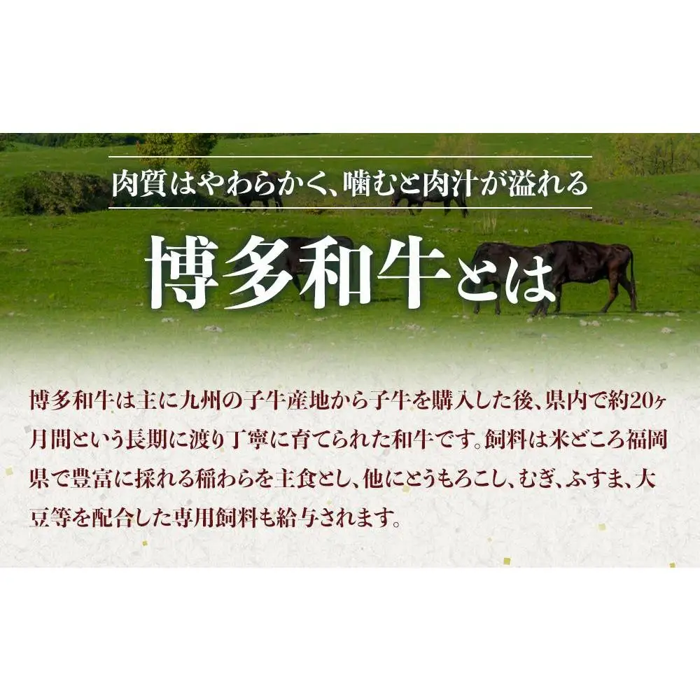 【定期便全4回】博多和牛A4ランク以上　希少部位おまかせ6種セット（70ｇ×6種）