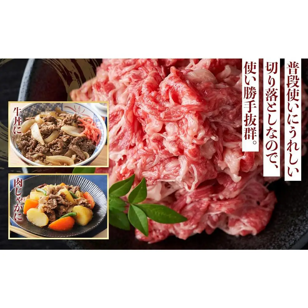博多和牛A4ランク以上切り落とし 1kg（500g×2P）