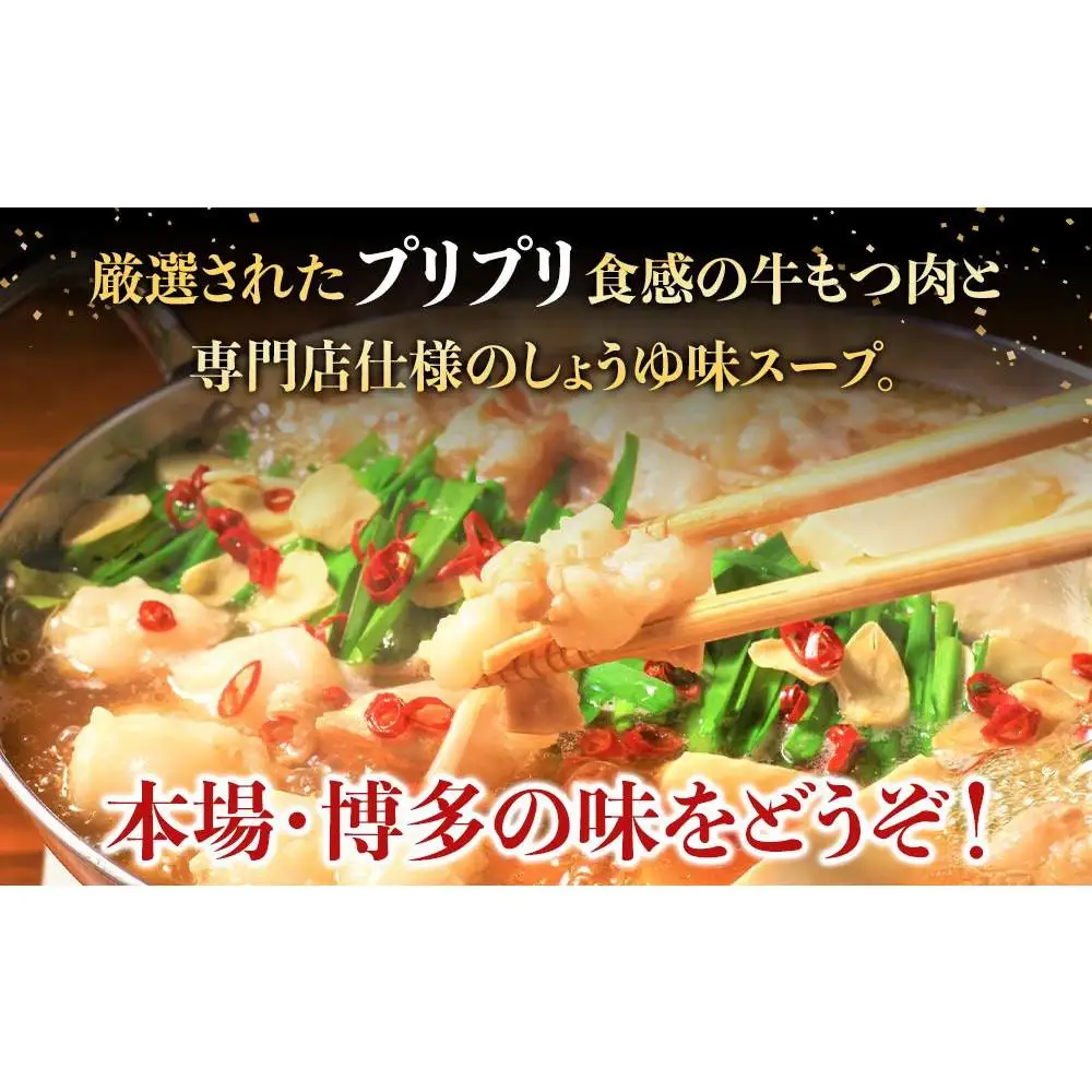【定期便全4回】博多・牛もつ鍋 しょうゆ味セット 3~4人前