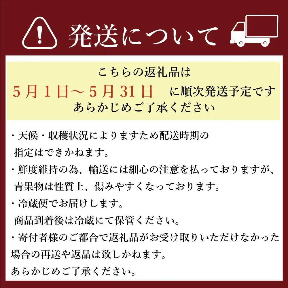 【2027年5月以降順次発送】訳あり加工用あまおういちご バラ詰め福岡県産 たっぷり約1.7kg＜配送不可：北海道、沖縄県、離島＞