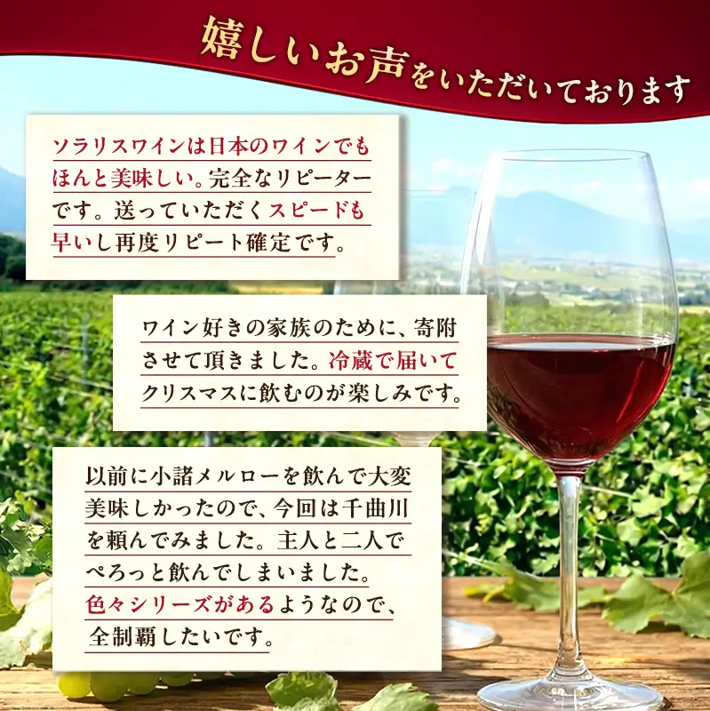 ワイン ソラリス ユヴェンタ 赤 ワイン
