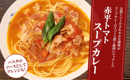 スープカレーセットレトルト惣菜鶏肉唐揚げスープカレーセット【2品】