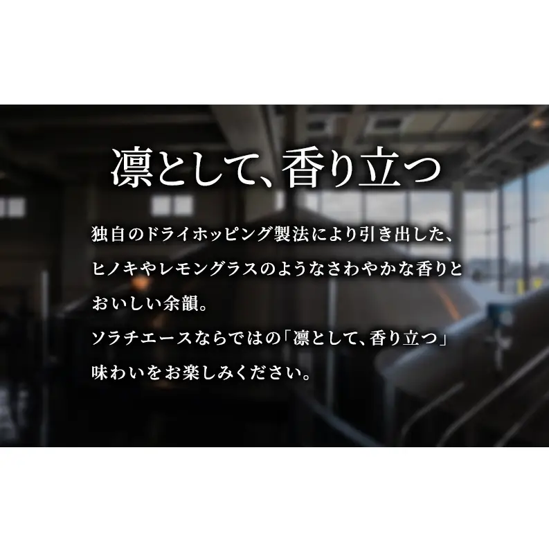 サッポロ SORACHI1984 ビール 350ml 24缶 最短翌日配送 