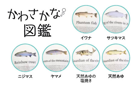 国産 Tシャツ かわさかなTEE Tシャツ [ANGD002] Tシャツ