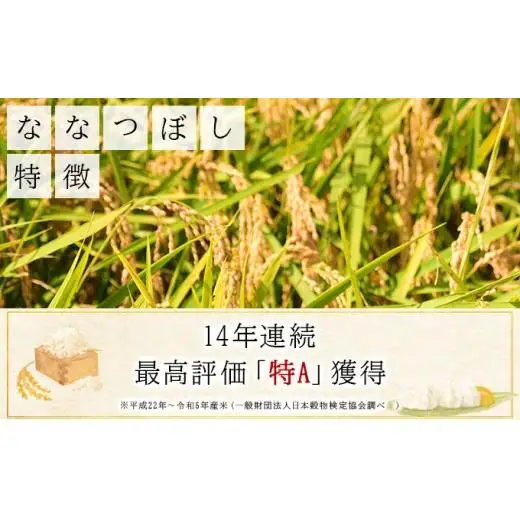 《令和 7 年産》お米 ななつぼし精米 5kg｜米 精米 北海道 岩 見沢市 ファーム坂口の特別栽培米