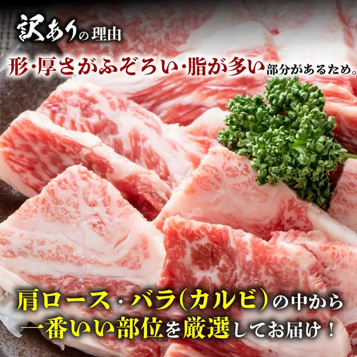【全6回定期便】【訳あり】おおいた豊後牛 焼肉 切り落とし 500g 豊後牛 牛肉 焼肉 切り落とし 大分 冷凍 訳あり[AREI132]