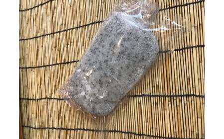 冷凍 のし餅 ハーフサイズ 1.65kg (約 550g  × 3枚)  白 ・ 黒豆 ・ 胡麻セット【杵つき】 使いきりサイズ ！展勝地レストハウス 岩手県 北上市 C0555R0806