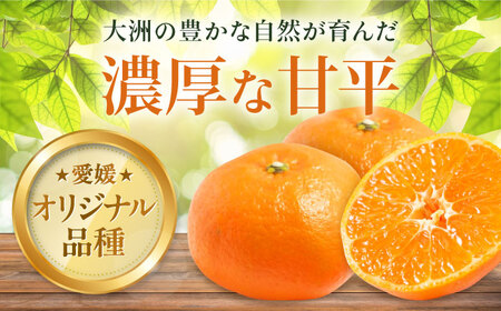 甘平【ご家庭用】甘平  約2.5kg 10個前後 [AGDC004]