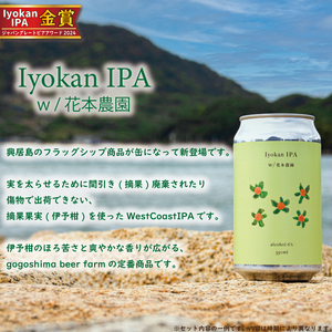 【定期便/3回】クラフトビールおまかせ4本セットクラフトビール【GB0051】