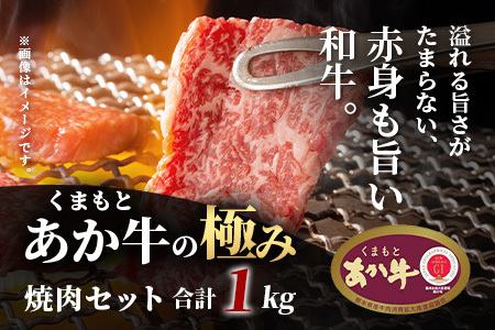 8月終了【エシカル和牛】あか牛の極み  焼肉セット (モモ・カルビ・煮込用) 【1kg】 033-0504