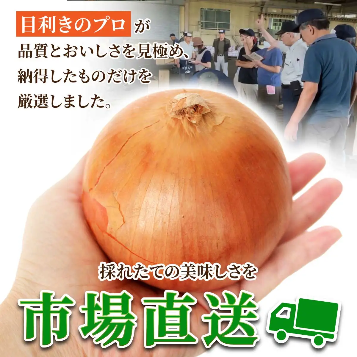 北海道岩見沢産たまねぎ 10kg (市場の目利き・岩力ブランド)【a142-006】