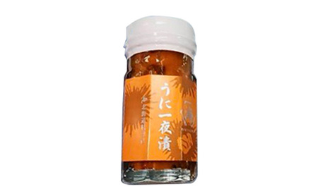 オホーツク枝幸産 うに一夜漬け60g×1瓶【 うに ウニ 雲丹 魚卵 魚貝 魚介 加工食品 北海道 オホーツク 枝幸 】