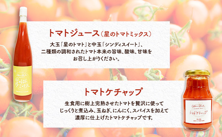 トマト ジュース ケチャップ 各2本 セット トマト