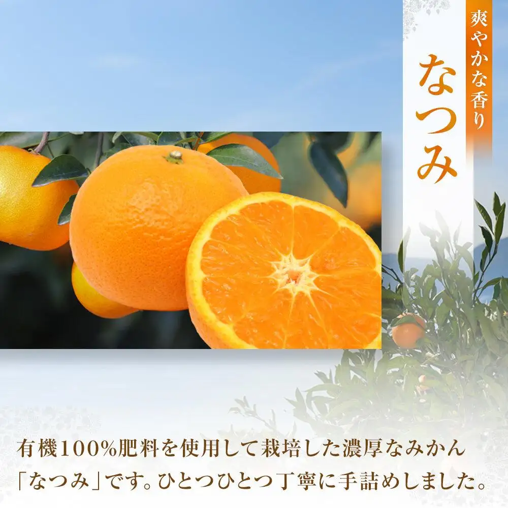【先行予約】厚すぎるほど濃いみかん なつみ 3kg＜2027年4月上旬より発送開始＞