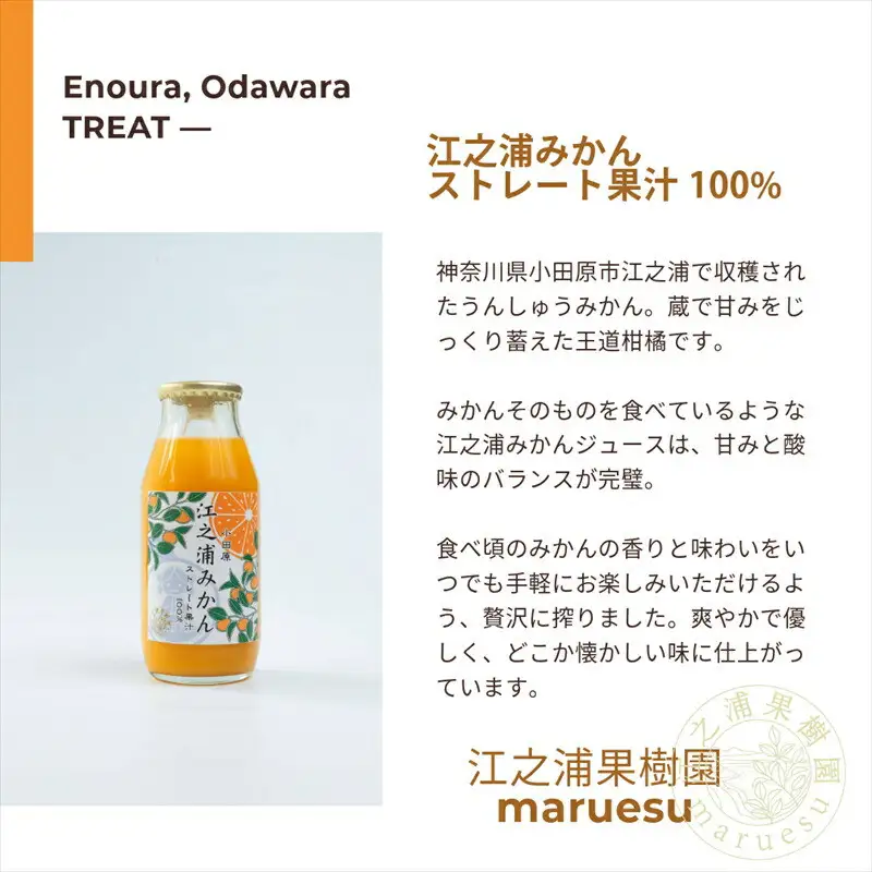 小田原産江之浦みかんジュース５種のみくらべ１０本セット うんしゅう・しらぬい・ゴールデン・なつみ・バレンシアオレンジ１００％ストレートジュース１８０ml各２本合計１０本【みかんジュース みかんジュース 神奈川県 小田原市 】