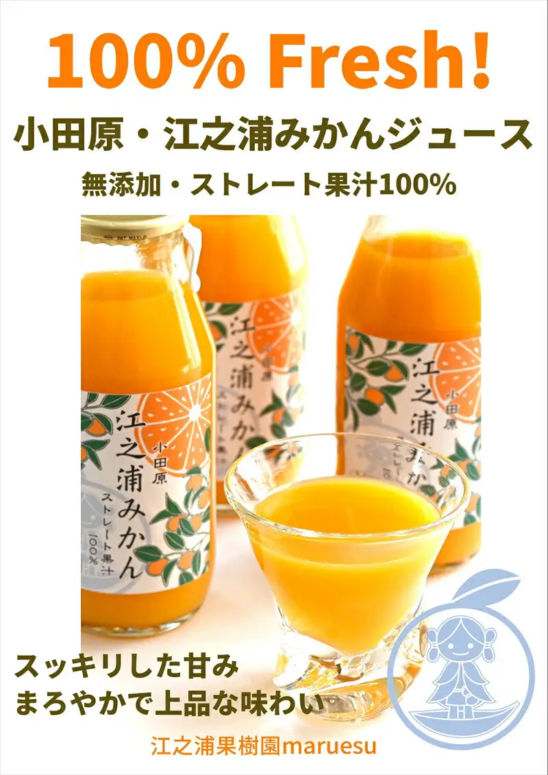 【定期便 12回】 小田原産江之浦みかんジュース３種のみくらべ３０本セット うんしゅう・なつみ・バレンシアオレンジ１００％ストレートジュース１８０ml各１０本合計３０本【みかんジュース みかんジュース 神奈川県 小田原市 】