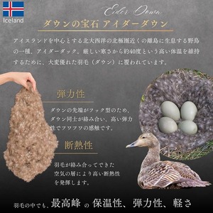 羽毛布団 アイダーダウン95% 掛け布団 クイーン モナク