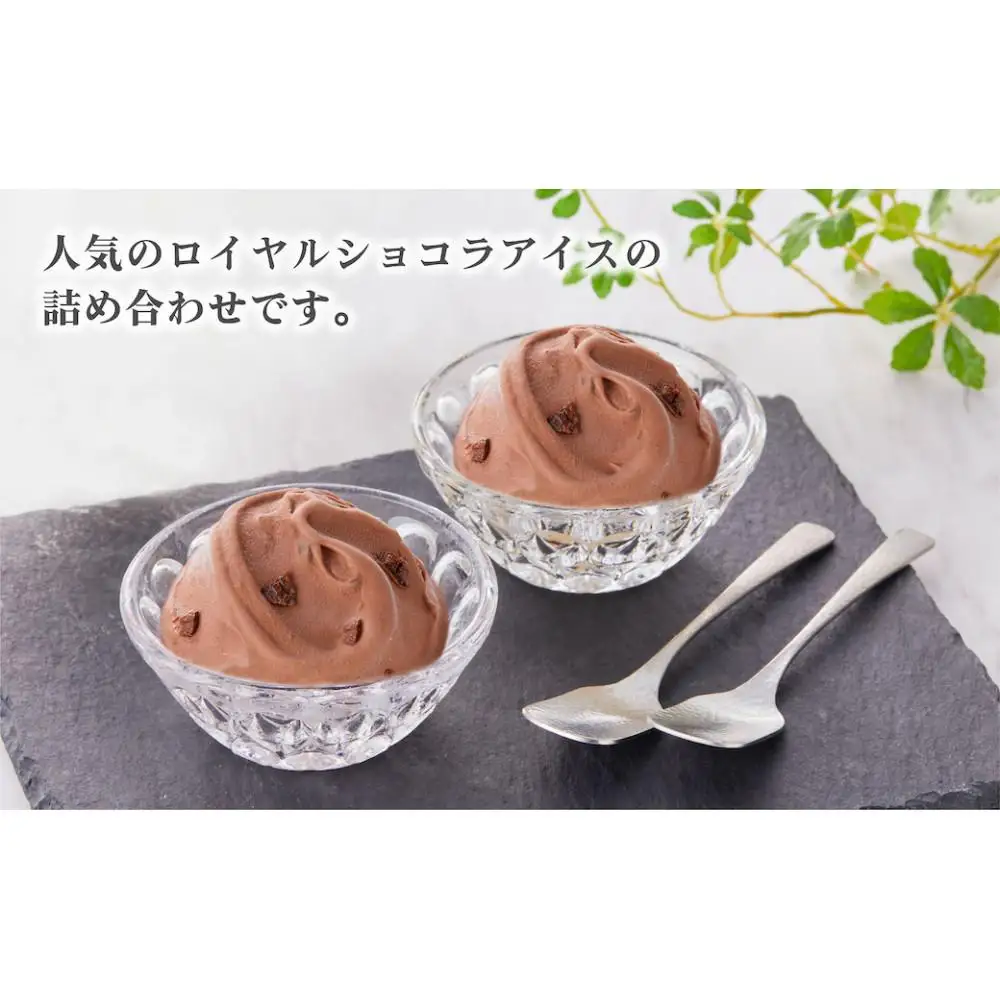ザクザクとしたカカオの食感がアクセント！薫り高いカカオに癒される。ベルヘラルドの高級アイスシリーズ、ベルギーショコラ５個セット