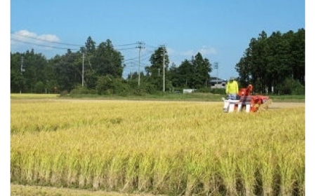 玄米 ひとめぼれ 10kg