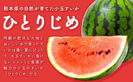 【先行予約】スイカ 訳あり 小玉すいか 2玉 約 2kg ～ 3kg M ～ 3L 混合 株式会社Foody’s 食彩たかみ 《2027年5月下旬-7月下旬頃出荷》 熊本県 菊池市 フルーツ 果物 スイカ すいか 訳あり 小玉 九州産 冷蔵 送料無料
