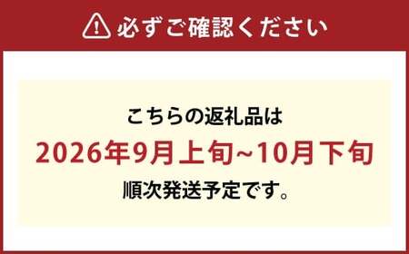岡山県産 シャインマスカット 晴王 2房 約1.2kg【2026年9月上旬-10月下旬 発送予定】｜種無し 皮ごと食べる 旬の美味しさ フレッシュ 先行予約 ハレノフルーツ