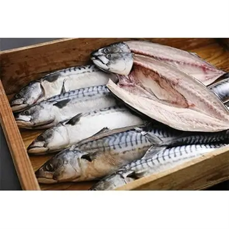 橋立やまいち自慢　旨みたっぷりふっくら塩サバ(大)×2本_魚介・海産物   _【配送不可地域：離島・北海道・沖縄県】【1583692】