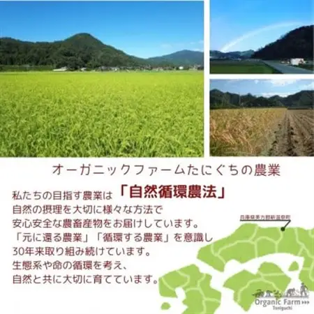 【無添加】ご飯パック20個　栽培期間中農薬不使用米のパックご飯【1583360】
