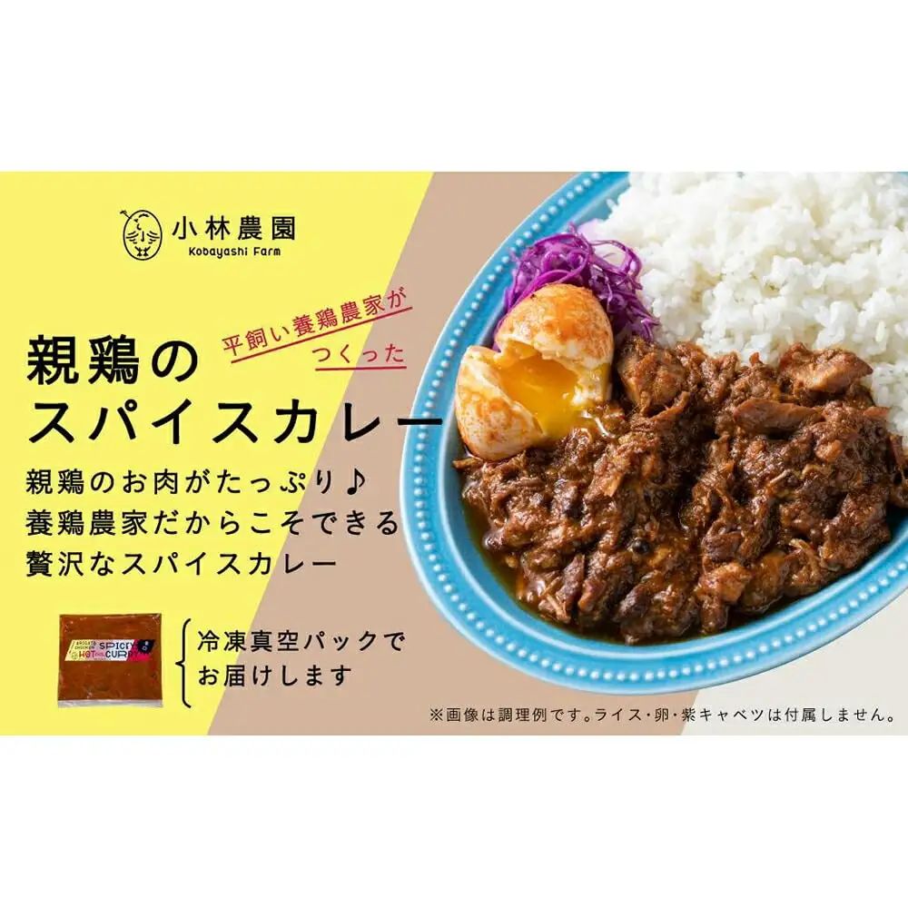 【全2回定期便】親鶏のスパイスカレー 5個（辛口）【テンアール株式会社】 カレー スパイス [AXAN085]