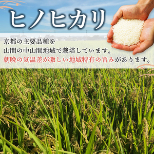 お米 ヒノヒカリ 10kg 令和6年産 京都 お米