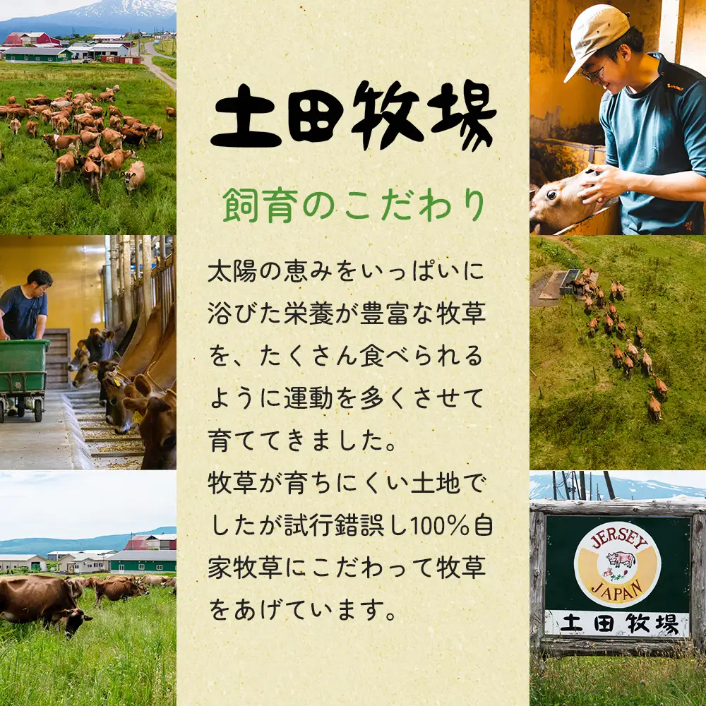 ジャージーすっきやき 250g 5袋 土田牧場 ジャージー牛 すき焼き 肩ロース 惣菜 和食 簡単調理 温めるだけ レトルト レトルト食品 秋田 秋田県 にかほ市