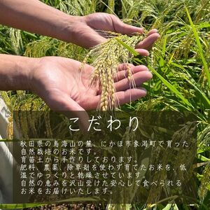 パックご飯 玄米ササニシキ ヤマチョウのごはん 秋田県産 パックご飯【200g×5個】