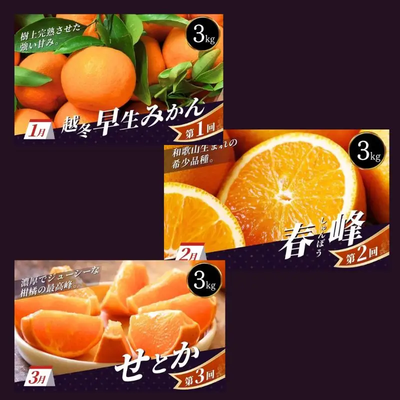 ＼新登場／ 【全3回定期便】和歌山のプレミア柑橘定期便 （越冬早生みかん・せとか・春峰） ※2027年1月より3回お届け / みかん 定期便 柑橘 せとか フルーツ 早生みかん ミカン 和歌山 果物 田辺市 くだもの【tcs012-tk】