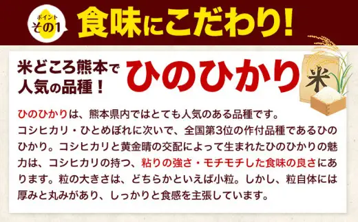 米 令和7年産 ひのひかり 白米 10kg