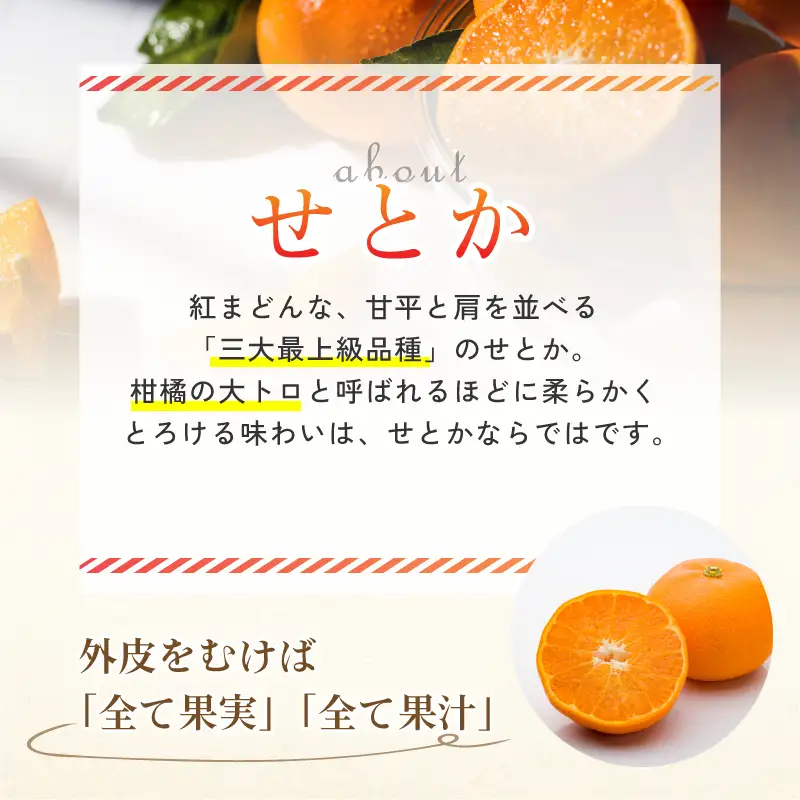 【先行予約】【数量限定】ホリ田ヤ せとか 2.5kg
