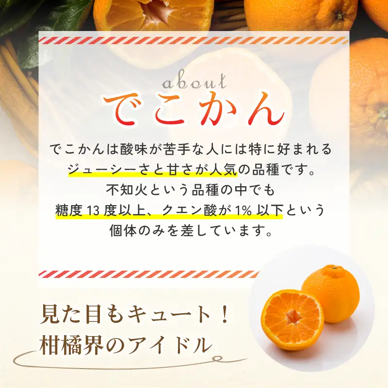 【先行予約】【数量限定】ホリ田ヤ でこかん 2.5kg