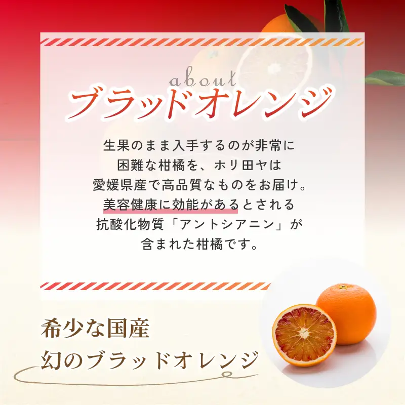 【先行予約】【数量限定】ホリ田ヤ ブラッドオレンジ 2.5kg