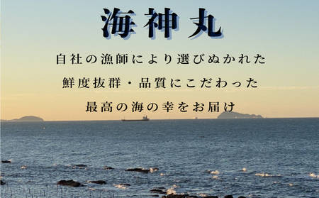 【3ヶ月毎定期便】 平貝 (タイラギ) 全4回 3個×4回 12個 冷凍 平貝 タイラギ 貝 魚貝類 魚貝 タイラガイ 魚介 貝類 冷凍