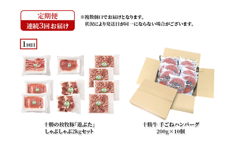 十勝幕別の定期便 牛肉と豚肉 年3回お届け 