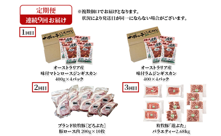 十勝幕別の定期便 肉堪能(牛肉・豚肉・ラム肉) 年9回お届け 【 ハンバーグ ステーキ ジンギスカン 惣菜 牛 羊 ラム 焼肉 BBQ バーベキュー 味付き 味付き肉 タレ 手切り アウトドア キャンプ お取り寄せ 冷凍 小分け 保存 牛肉 】