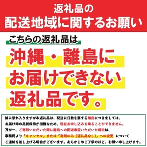 岩谷堂箪笥 3.5尺上小抽箪笥 1台 伝統工芸品 家具 インテリア 箪笥 タンス チェスト 和家具 和モダン 収納 木製 漆 南部鉄器金具 職人 手作り 逸品 高級家具 リビング 応接室 盛岡名産 欅 ケヤキ 日本製 整理 引き出し 整理整頓 伝統 岩手県 盛岡市 東北 岩手 盛岡 有限会社 中千家具製作所