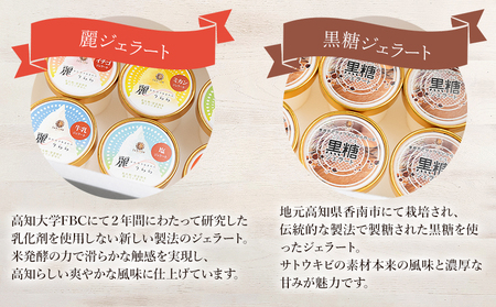 アイス 麗ジェラートと黒糖ジェラート 8個セット お菓子・スイーツ アイス dc-0072