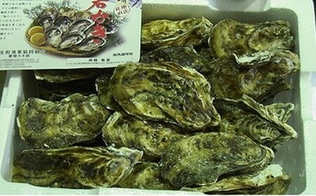 【2027年発送分】産地直送！岡山県日生産　殻付き牡蠣（加熱用）30個前後（3kg）（2027年1月中旬以降発送）【牡蠣】