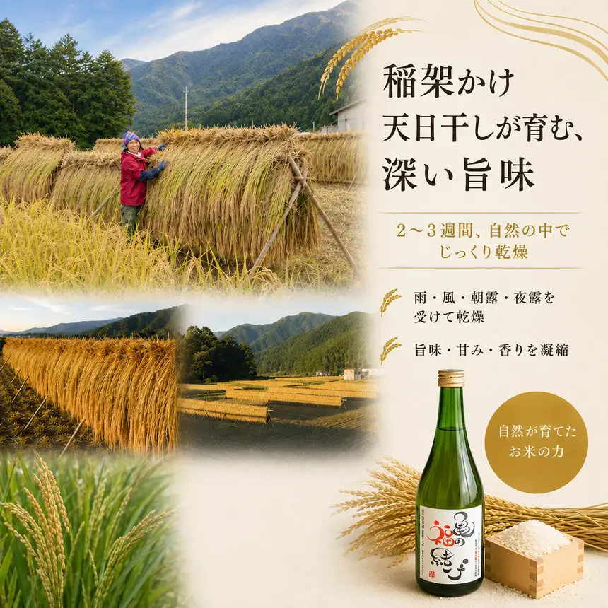 日本酒 自然栽培米 天日干し 亀の尾100％使用 「亀の福結び」 | 日本酒 蔵出し無濾過原酒 地酒 自然栽培米 天日干し 亀の尾 お酒 酒 さけ サケ アルコール 飲料 贈り物 ギフト 長野県 松川村 信州 北アルプス