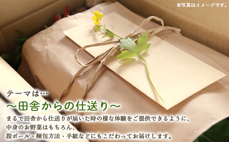 定期便2回コース 高知県香南市産 旬のお野菜詰合せ(10～13品目)【野菜 野菜詰め合わせ 野菜セット 野菜定期便 土佐野菜 野菜】 Wpr-0018