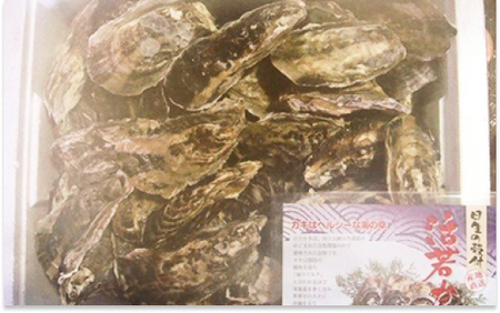 【2027年発送分】産地直送！岡山県日生産　殻付き牡蠣（加熱用）90個前後（9kg）（2027年1月中旬以降発送）【牡蠣】