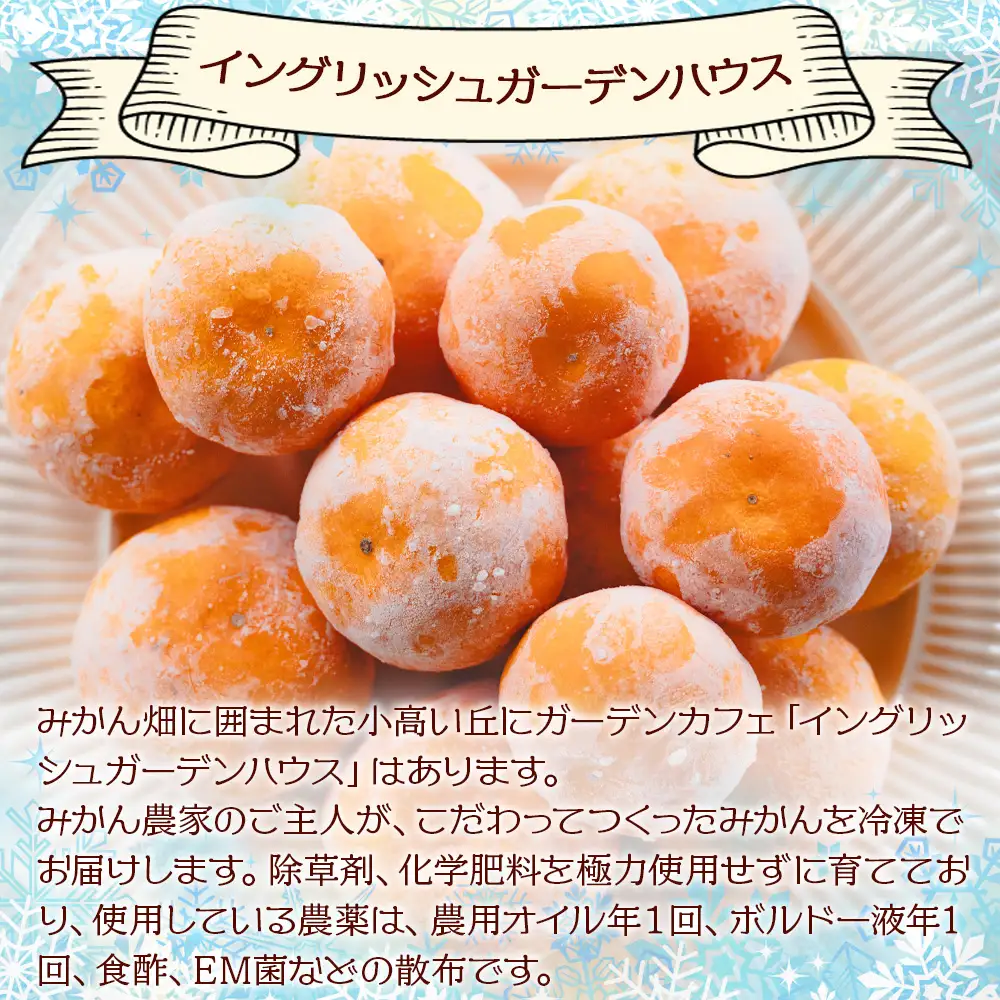 冷凍みかん 1kg【冷凍みかん 冷凍みかん 冷凍みかん 冷凍みかん 冷凍みかん】 eh-0038