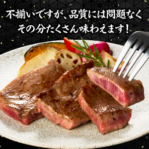 【生産者まかない用特別提供品】宮崎和牛不揃いカットステーキ 500g（国産 牛肉 国産牛 和牛 黒毛和牛 赤身 不揃い ステーキ 焼肉） ステーキ 和牛ステーキ 牛肉ステーキ 国産ステーキ 訳ありステーキ 西ノ原牧場
