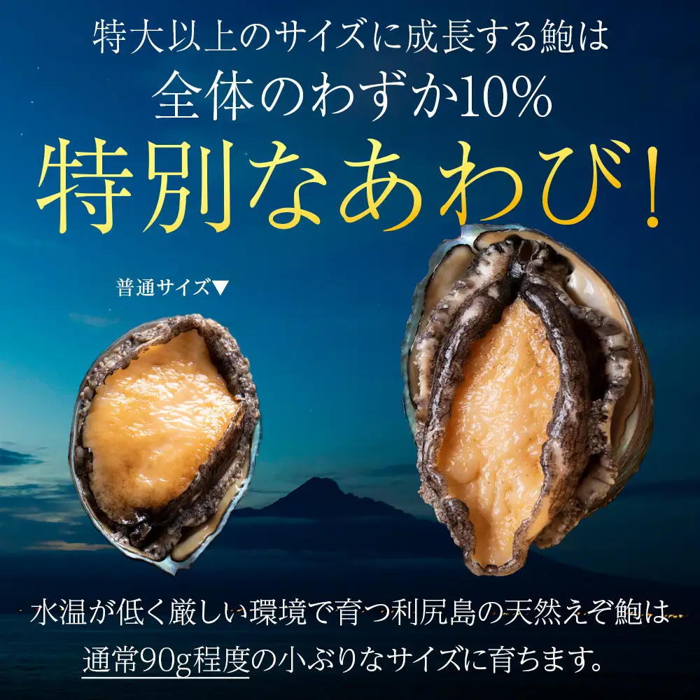 【2025年1月以降発送】北海道 利尻島産 ☆天然蝦夷あわび 特大☆　5個
